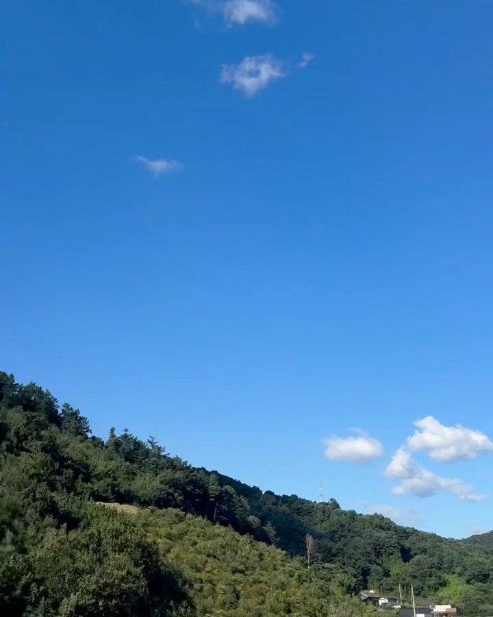 푸른 하늘 아래 숲으로 덮인 산과 주변 풍경이 보인다