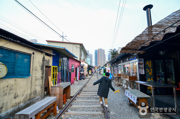군산 시간여행마을 사진